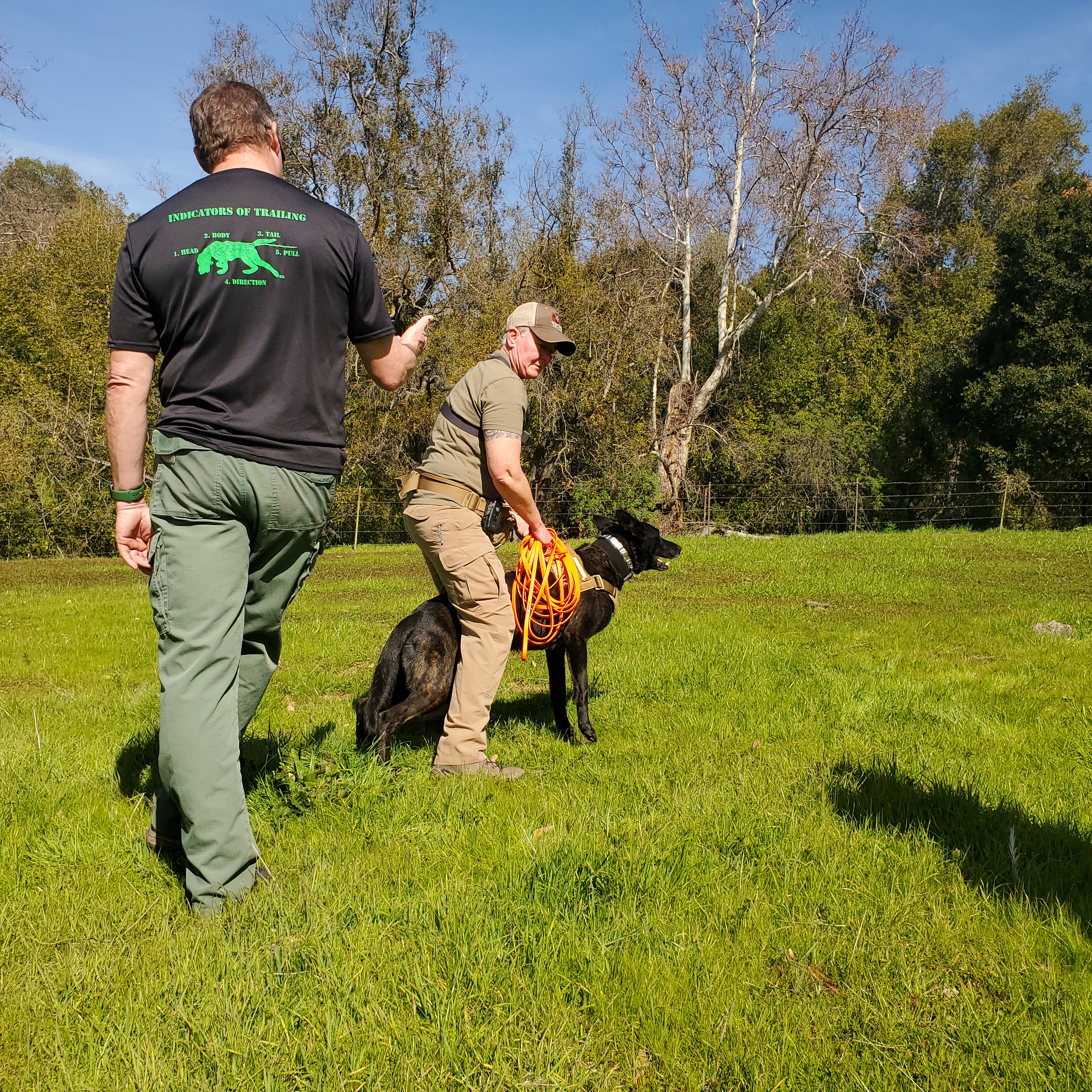 Dog Training Outdoors